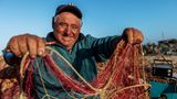 Vítor Silvestre fischt seit 49 Jahren in und vor der Ria-Formosa-Lagune. Er half, die beiden Meeresschutzgebiete auszuwählen – ist aber mit der Arbeit von Politik und Umweltschützern noch nicht zufrieden. Zu viel Bürokratie, findet er