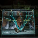 Der Meeresbiologe Jorge Palma experimentiert mit künstlichem Seegras aus Nylon und Sisal, um den filigranen Fischen möglichst viel Lebensraum zurückgeben zu können