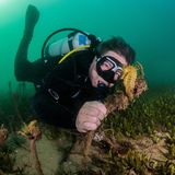 Von 2019 bis Ende März war Ricardo Santos Portugals Bundesminister für maritime Angelegenheiten, der erste Meeresbiologe, der dieses Amt bekleidete. Ob er den Seepferdchen nachhaltig helfen konnte, ist aber ungewiss