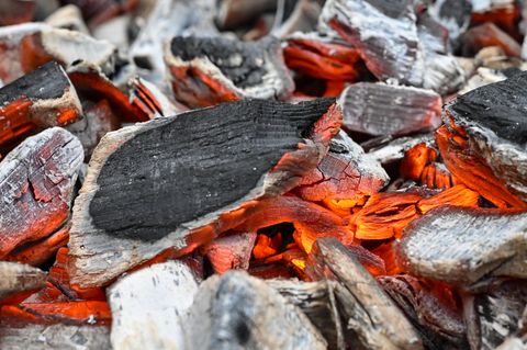 Ökotest prüft Holzkohle