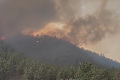 Video: Bei Marmaris: Feuerwehrleute kämpfen gegen Waldbrand in der Türkei