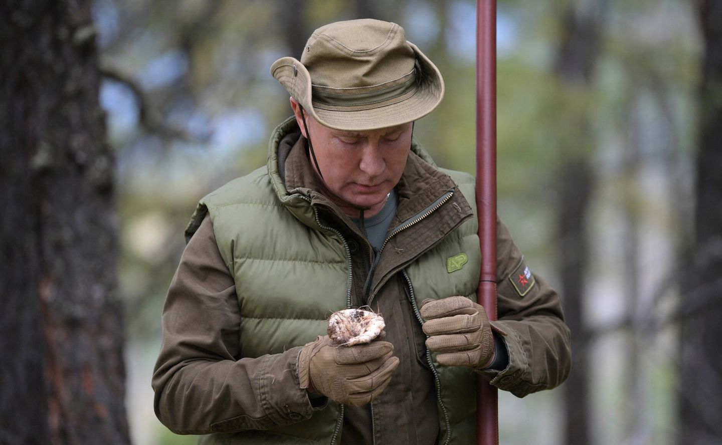 Im Oktober 2017 widmet sich Putin bei seiner Taiga-Reise dem Pilze-Sammeln. 