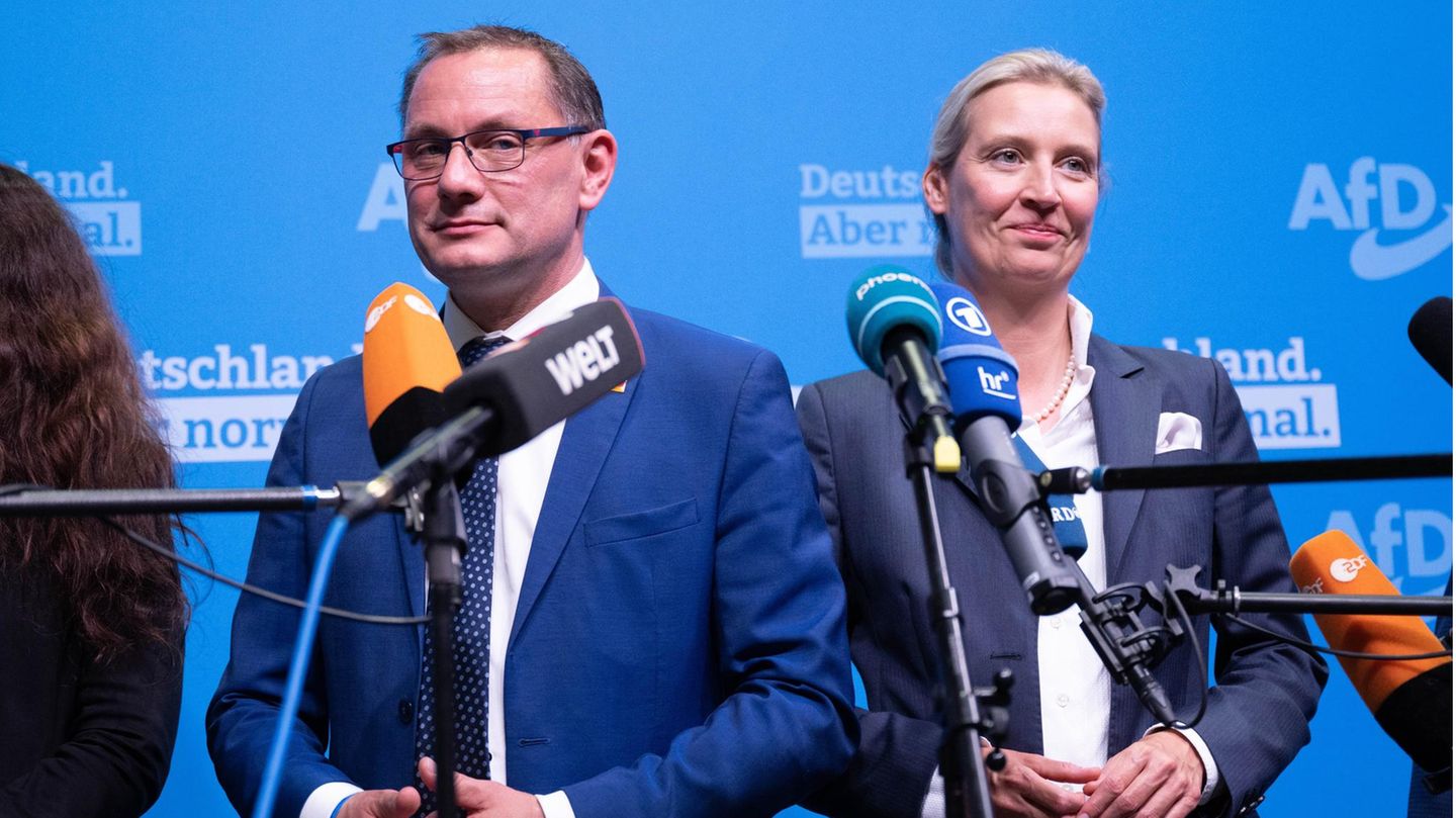 AfD parliamentary group fails with urgent application before the Federal Constitutional Court
