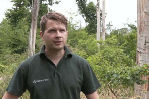 Video: Dieburger Förster: Dürrephasen werden Waldbrandgefahr langfristig erhöhen