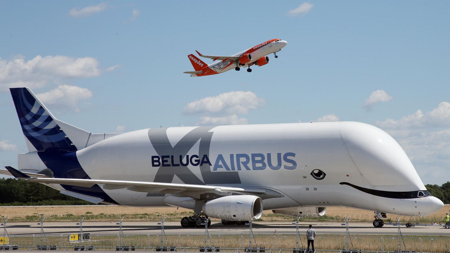 Beluga XL
