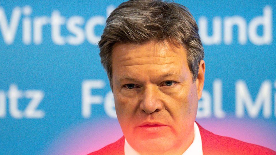 Alarmstufe Gas: Das sieht der staatliche "Notfallplan Gas" vor