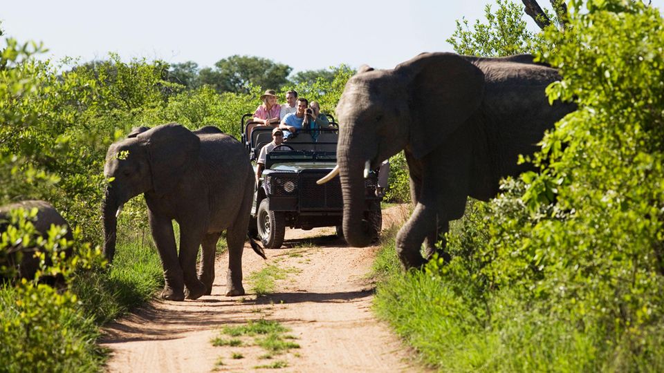 Jeep mit Touristen und Elefanten