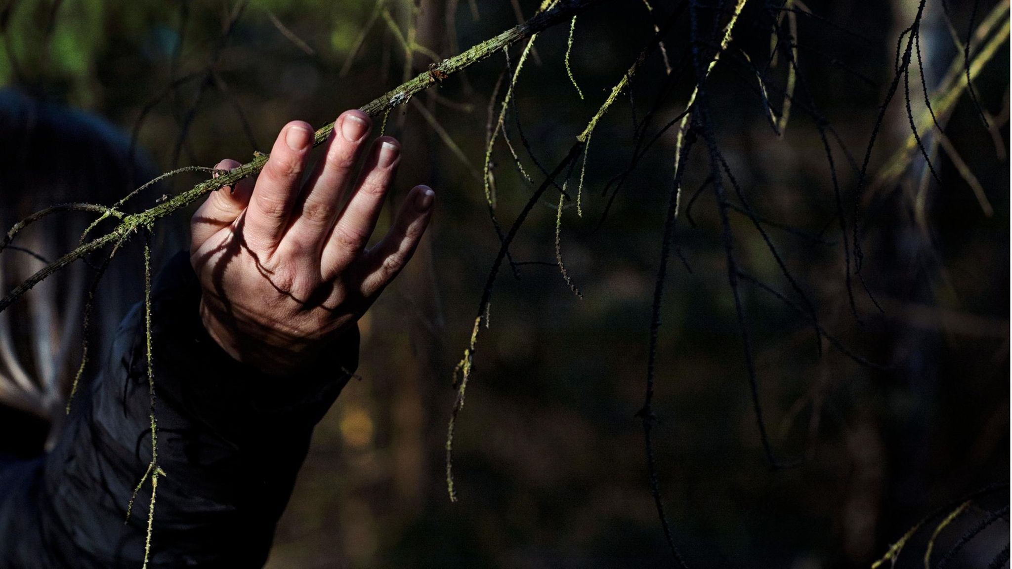 Therese Tangs Hand