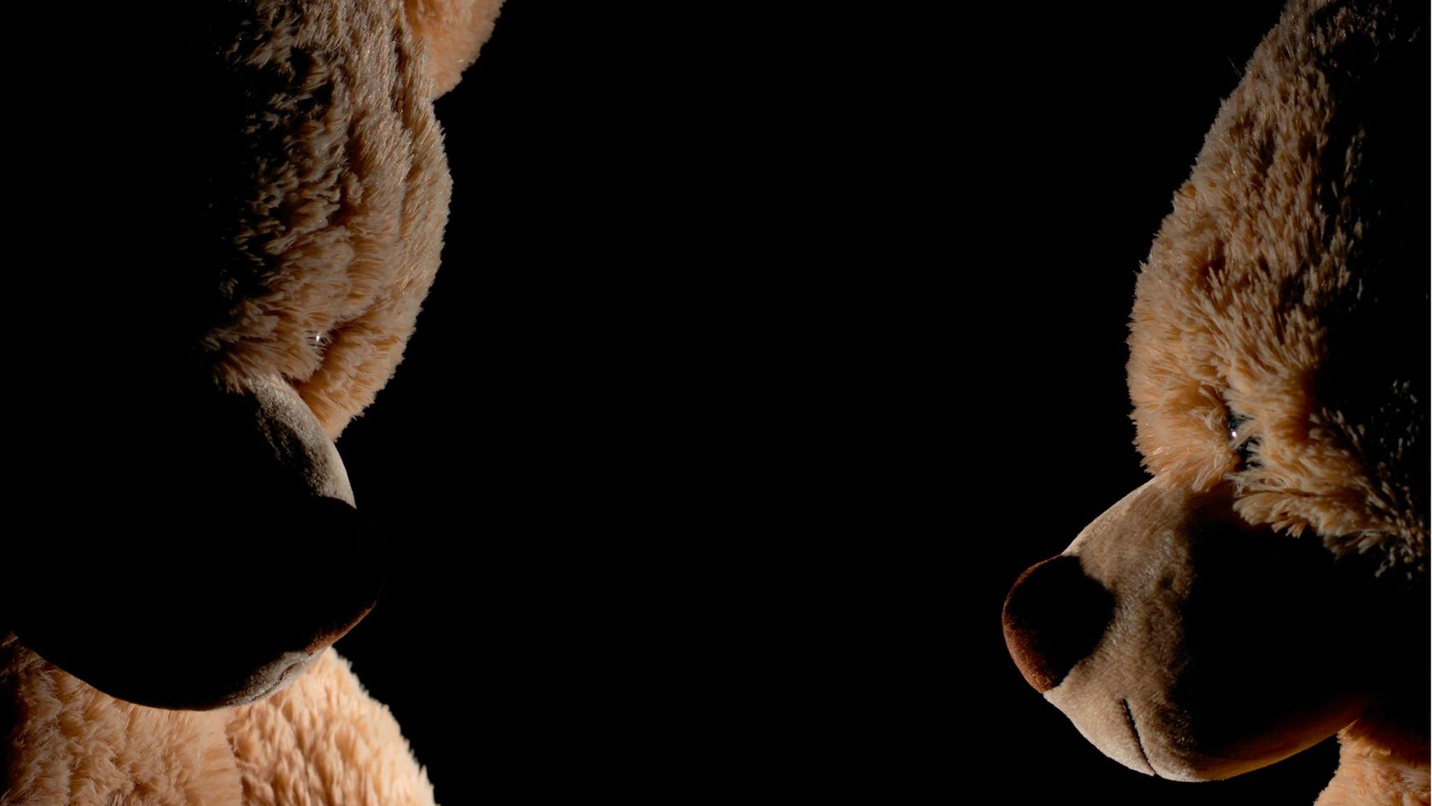 Zwei Teddybären