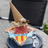 Es endet, wo alles begann: mit einem Pinocchio-Eis in Oberursel