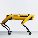 Hyundai Greentech Festival