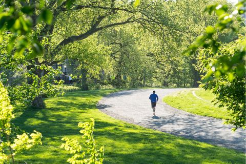 Ein Mann joggt durch eine Baumallee