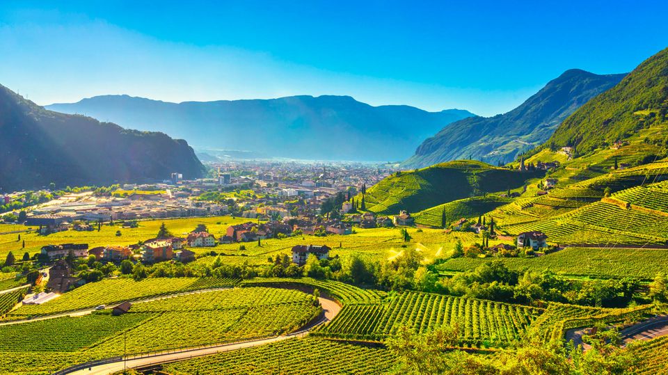 Südiroler Weinanbau Blick auf Bozen