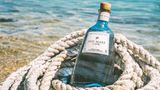 Gin Mare Capri   Gin Mare ist mit seiner Verschmelzung aus kräftigem Wacholder, mediterranen Kräutern und Oliven in der Gin-Welt eine Institution. Zum 10. Geburtstag gönnte man sich selbst ein ganz besonderes Geschenk: Man veredelte den Gin mit zwei der besten Zutaten der kleinen Insel am Golf von Neapel – Zitronen und Bergamotten. Die würzigen und frischen Noten machen ihn zum spannenden Sparringpartner für trockene Tonics. Es handelt sich um eine Limited Edition, daher der vergleichsweise hohe Preis von 50 Euro pro Flasche.       Preis: ca. 50 Euro für 0,7 Liter 