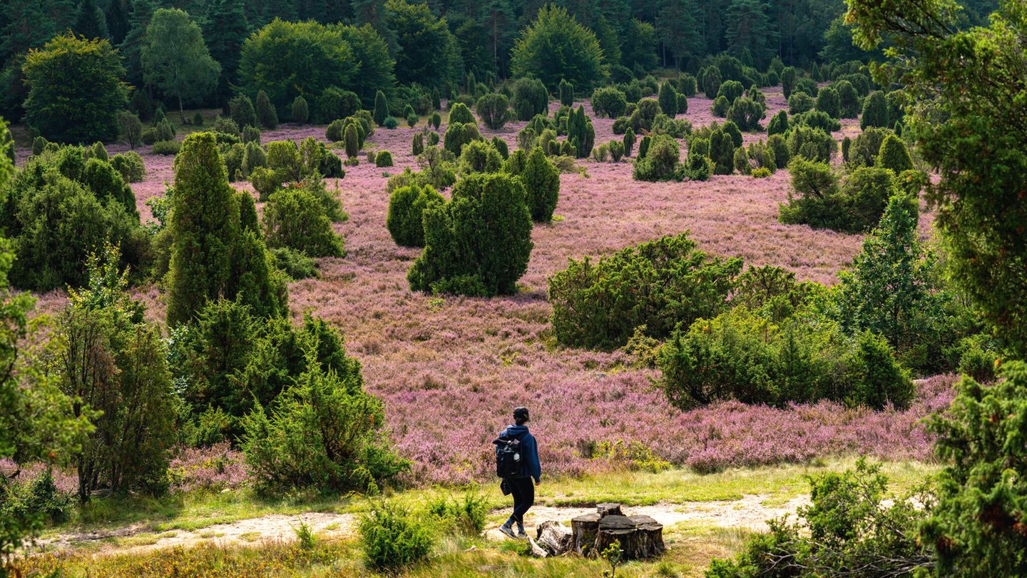 Heidschnuckenweg Heidschnuckenweg