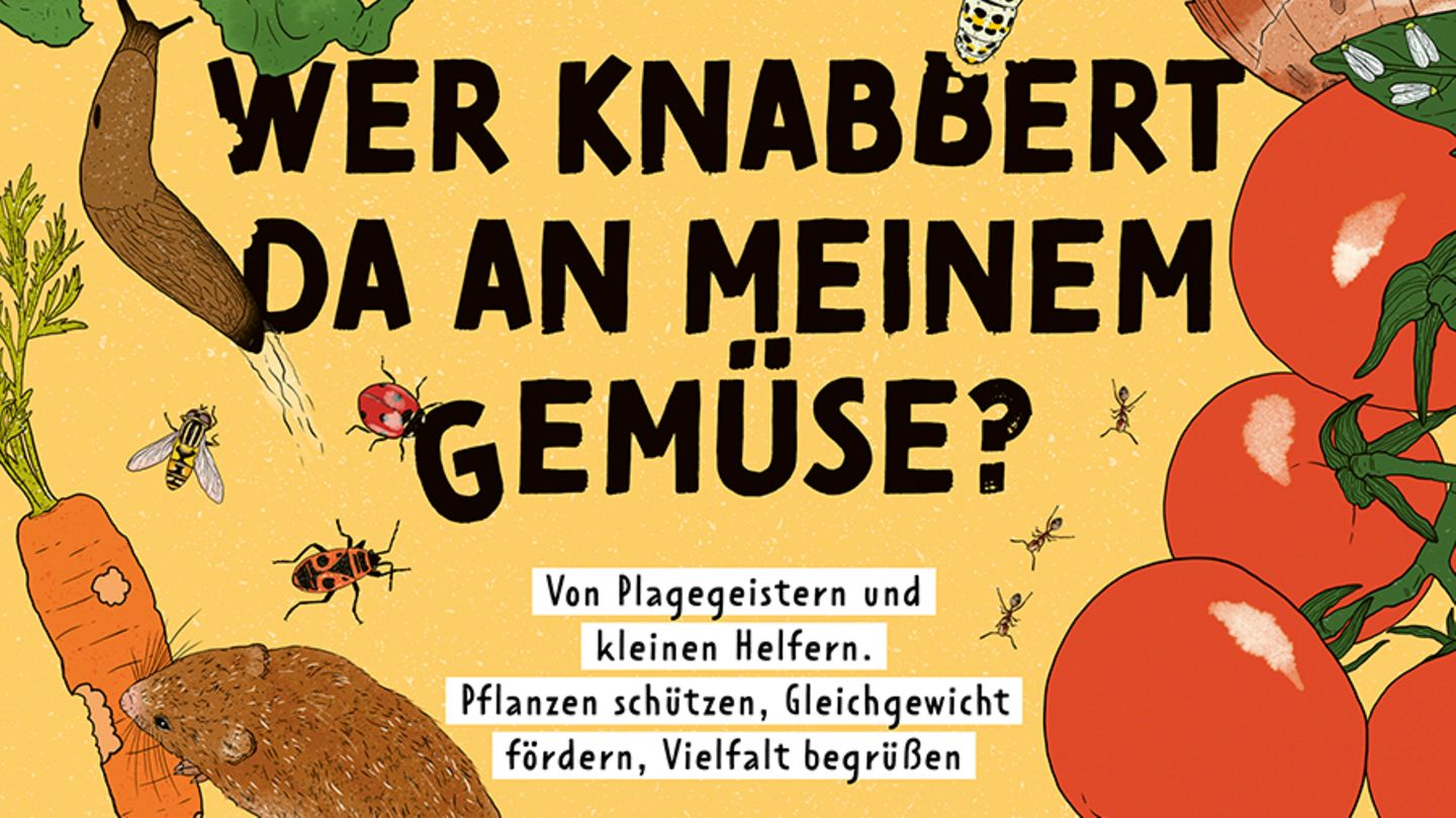 Fotografie: Tigerschnegel, Raubmilbe und Spitzmaus: die besten Helfer im Garten