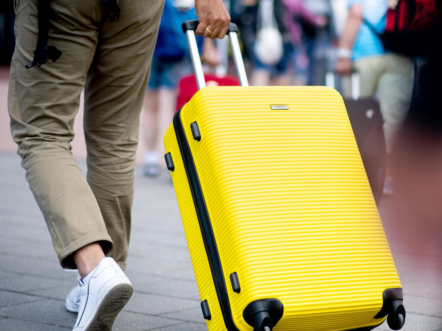 So transportiert man Urlaubsgepäck sicher mit dem Auto - Vienna Online -  Österreich 