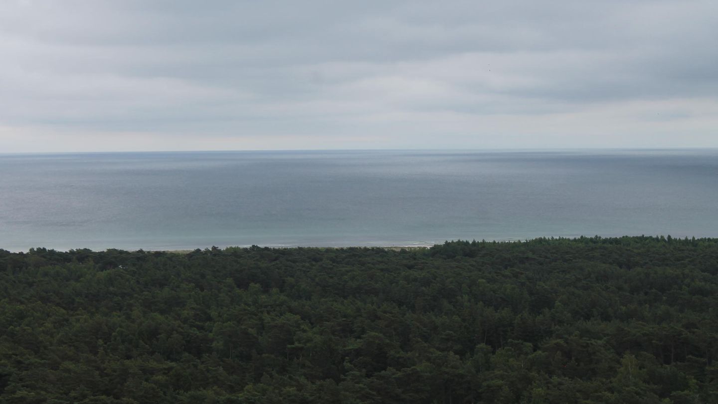 Blick von der Spitze des Turmes in Richtung Süden. Hinter dem Horizont liegt Polen. 