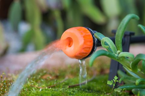 Gartenarbeit im Juli: Nahaufnahme eines verstellbaren Tropfkopfes in einem Pflanztopf