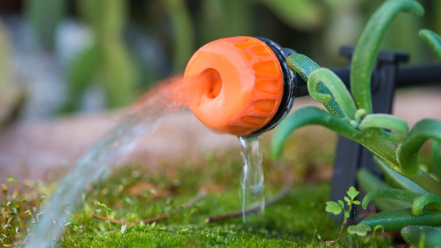 Gartenarbeit im Juli: Nahaufnahme eines verstellbaren Tropfkopfes in einem Pflanztopf