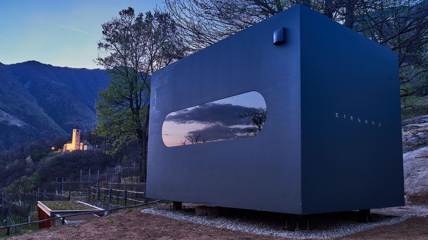 Monte Carasso, Tessin: Birdbox Curzutt