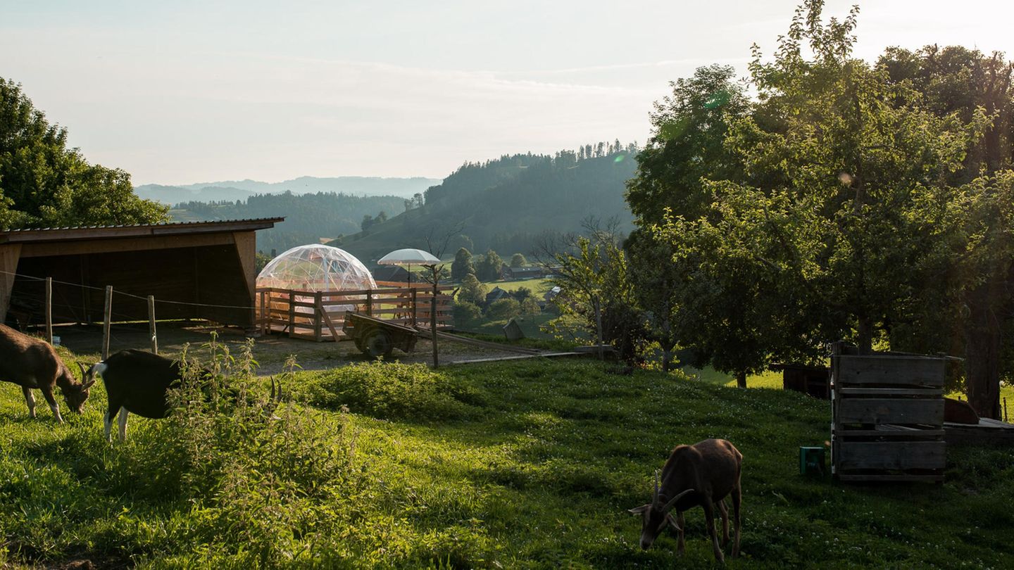 Emmental, Berner Mittelland: Iglu Suite