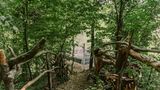 Waldbett