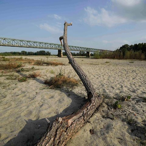 Hitzewelle: Der sonst größte Fluss Italiens, der Po, führt nur noch knapp 20 Prozent der sonst üblichen Wassermenge. Das Flussbett versandet zunehmend.