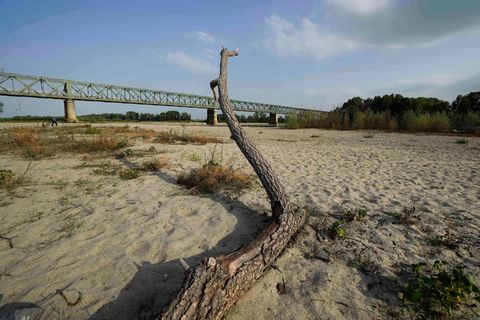 Hitzewelle: Der sonst größte Fluss Italiens, der Po, führt nur noch knapp 20 Prozent der sonst üblichen Wassermenge. Das Flussbett versandet zunehmend.