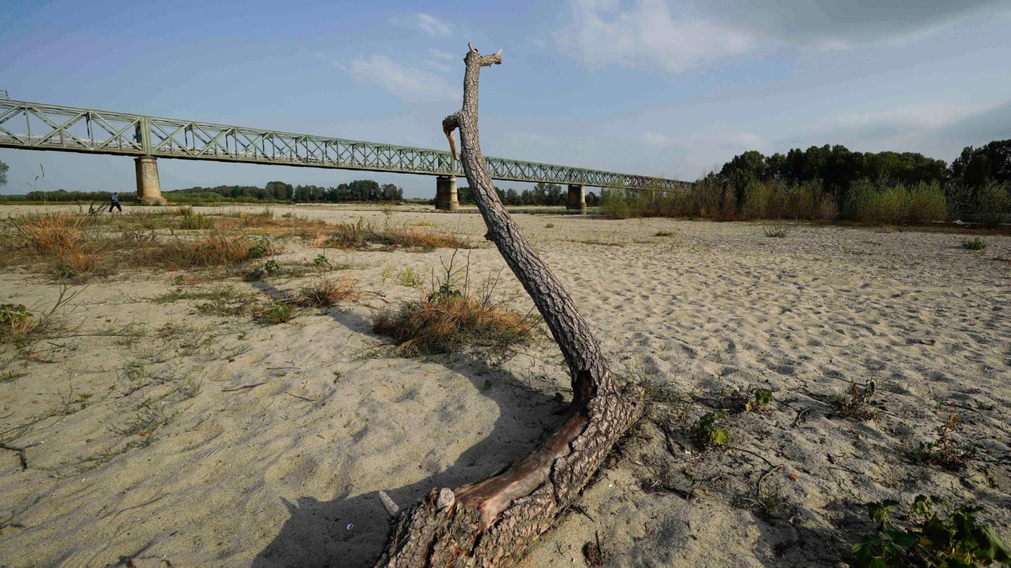 Hitzewelle: Der sonst größte Fluss Italiens, der Po, führt nur noch knapp 20 Prozent der sonst üblichen Wassermenge. Das Flussbett versandet zunehmend.