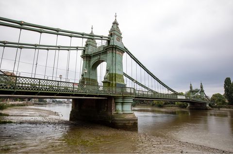 Mitten in London: Die Müll-Insel wächst in der Nähe der Hammersmith-Brücke im Herzen Londons
