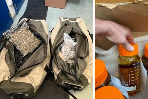 Mehr als 45 Kilogramm Cannabis-Produkte hatte der Angeklagte bei sich