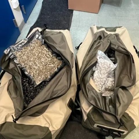 Mehr als 45 Kilogramm Cannabis-Produkte hatte der Angeklagte bei sich