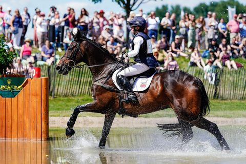 Pferd Allstar B beim CHIO Aachen