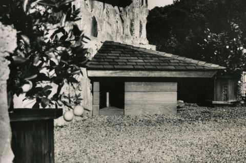 Hundehütte von Frank Lloyd Wright