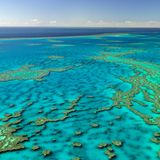 Great Barrier Reef