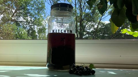 Raffiniertes Rezept: Ansatz mit Johannisbeeren und Doppelkorn steht in einem Einmachglas auf der Fensterbank