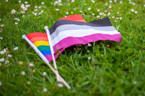 Eine Regenbogenflagge und eine asexuellen Flagge liegen auf einer Wiese