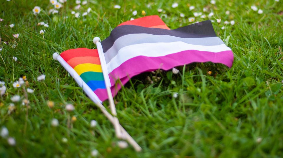 Eine Regenbogenflagge und eine asexuellen Flagge liegen auf einer Wiese