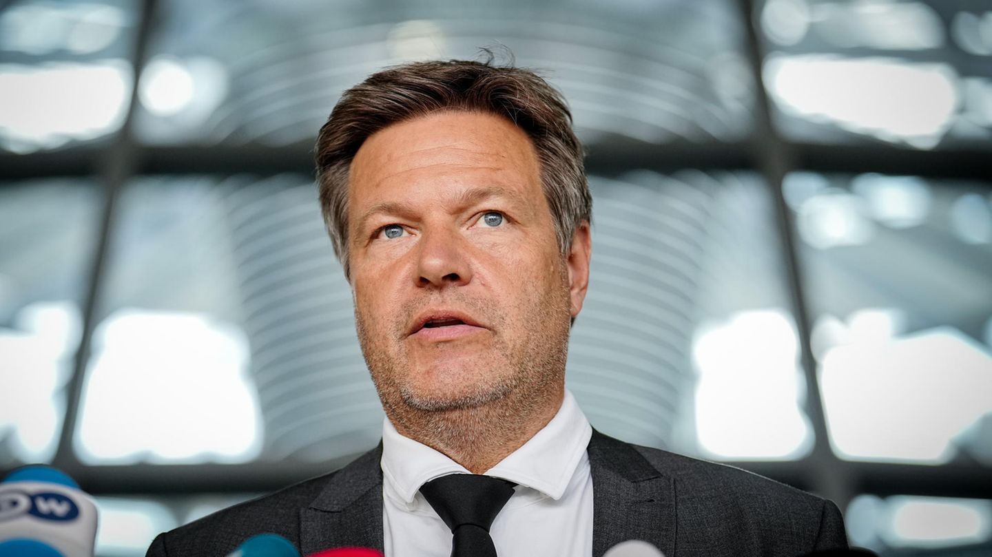 Bundeswirtschaftsminister Robert Habeck (Grüne) sorgt sich um die Gasversorgung für Deutschland