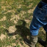 Ein Reisbauer steht auf einem ausgetrockneten Reisfeld in Mortara. Die schlimmste Dürre, die Italien seit 70 Jahren erlebt hat, lässt die Reisfelder in der Poebene austrocknen und gefährdet die Ernte des hochwertigen Reises, der für Risotto verwendet wird.