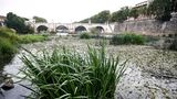 Der Wasserstand des Tibers sinkt, sodass der italienischen Hauptstadt ein Notstand aufgrund der anhaltenden Trockenheit und den heißen Temperaturen droht.