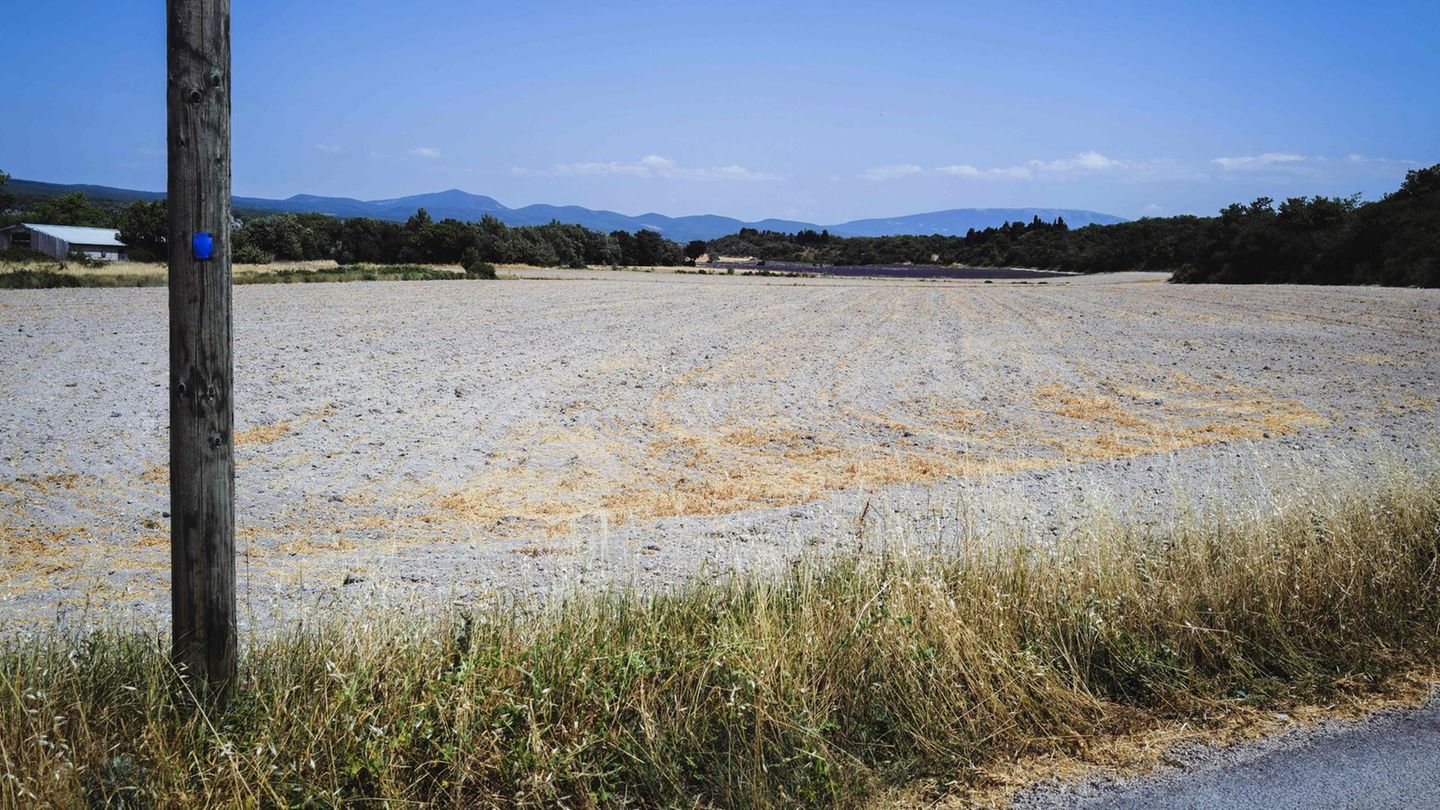 In Grignan im Südwesten Frankreichs ist ein Feld ausgetrocknet – Folge einer Rekord-Hitzewelle, die das Land im Juni heimgesucht hat. In einem anderen Dorf ist wegen Problemen mit der Trinkwasserversorgung sogar das Zähneputzen mit Leitungswasser verboten worden. Außerdem dürfe das Kranwasser nicht getrunken oder zur Zubereitung von Säuglingsmilch oder rohen Speisen verwendet werden, teilte die Gemeinde Bargemon im bergigen Hinterland der Côte d'Azur mit.