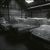 Taubenkot ist Gift für jeden Autolack. 