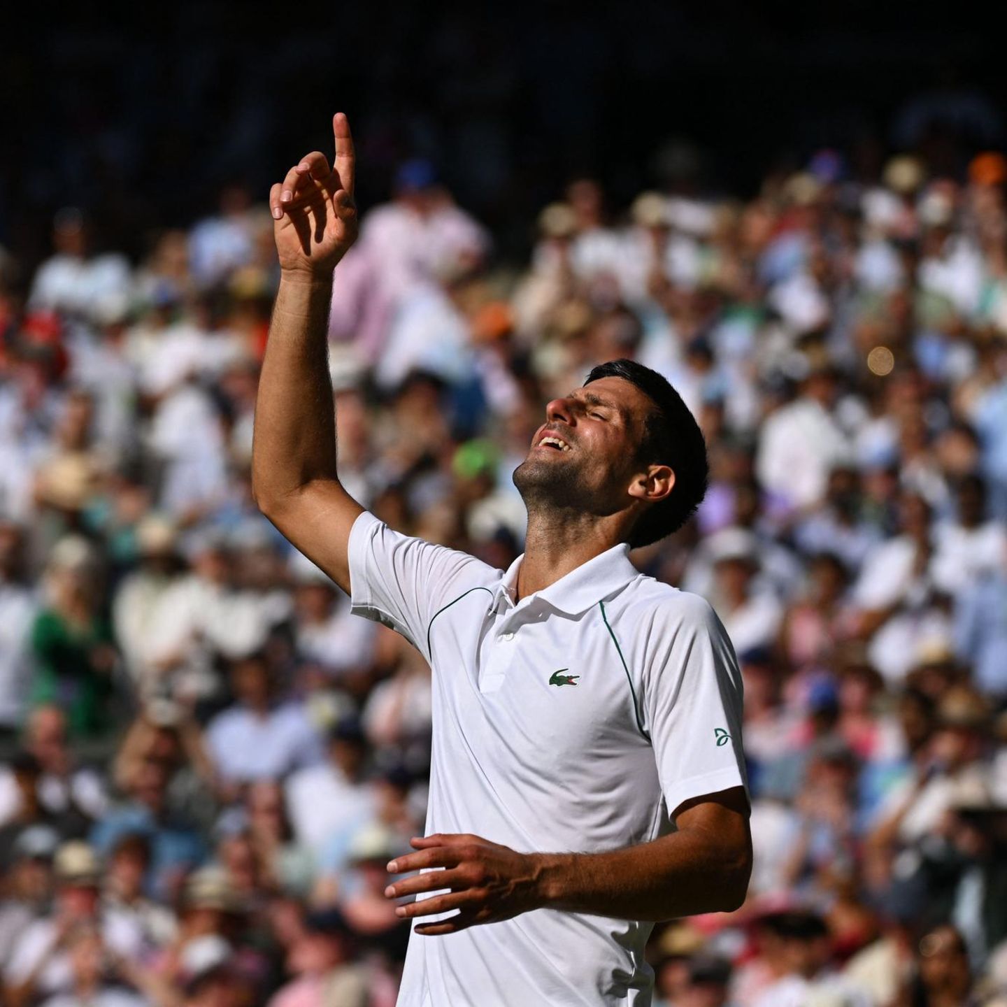 Sieg im Finale Novak Djokovic zum siebten Mal Wimbledon-König STERN.de