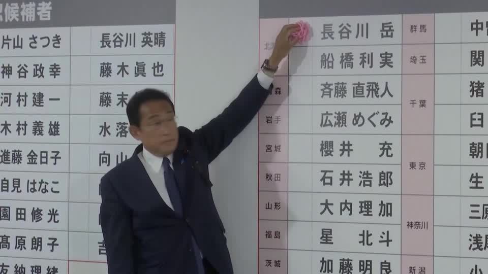 Video: Japans Regierung baut Mehrheit im Oberhaus aus Video: Japans Regierung baut Mehrheit im Oberhaus aus