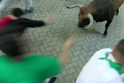 Video: Mehrere Verletzte bei Stierrennen
