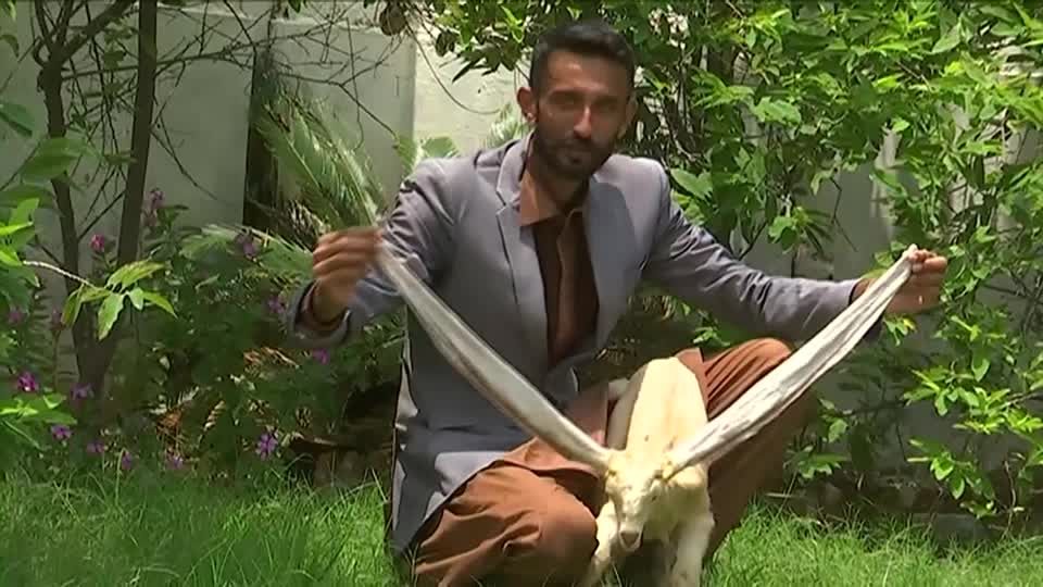Video: Simba und die Super-Ohren