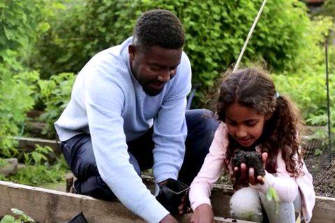 Gartenpflege: Diese Dinge sollten Sie aus Ihrem Beet entfernen