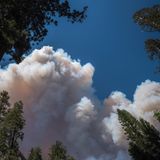 Über dem Mariposa-Hain der Riesenmammutbäume (Grove of Giant Sequoias) steigt eine riesige Rauchwolke auf